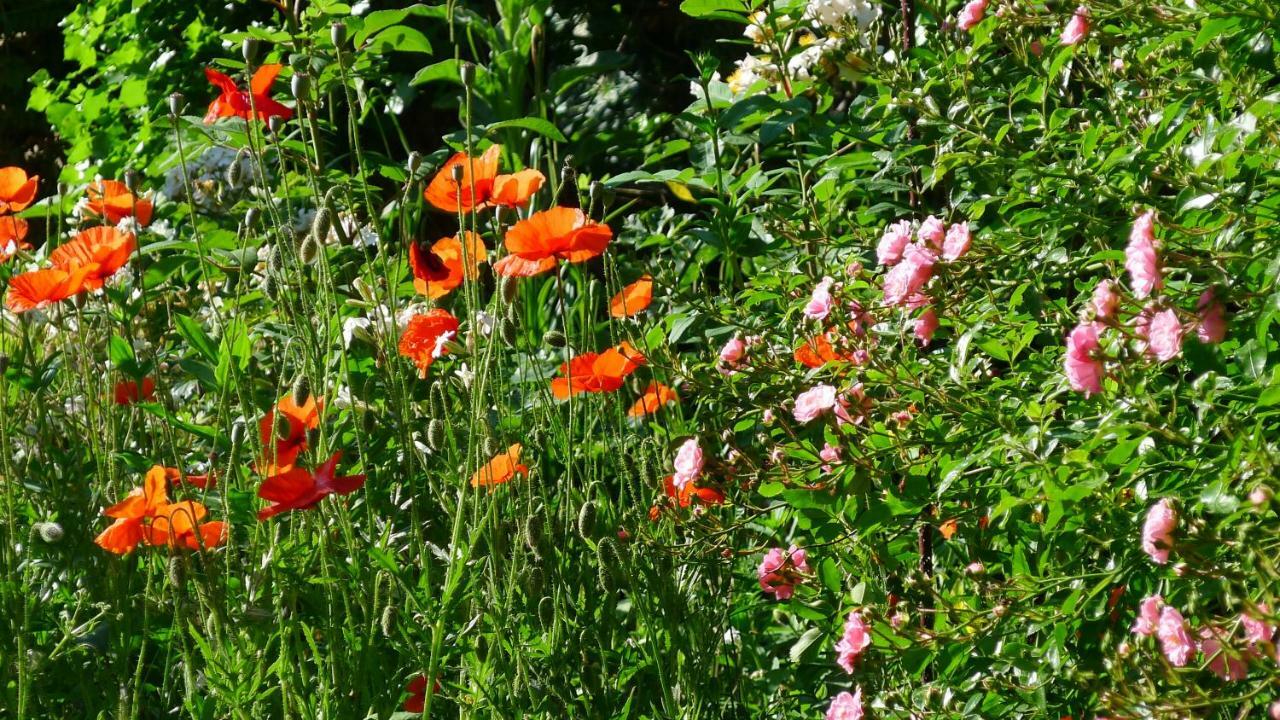 Le Petit Potager Bed and Breakfast Montbel  Exterior foto